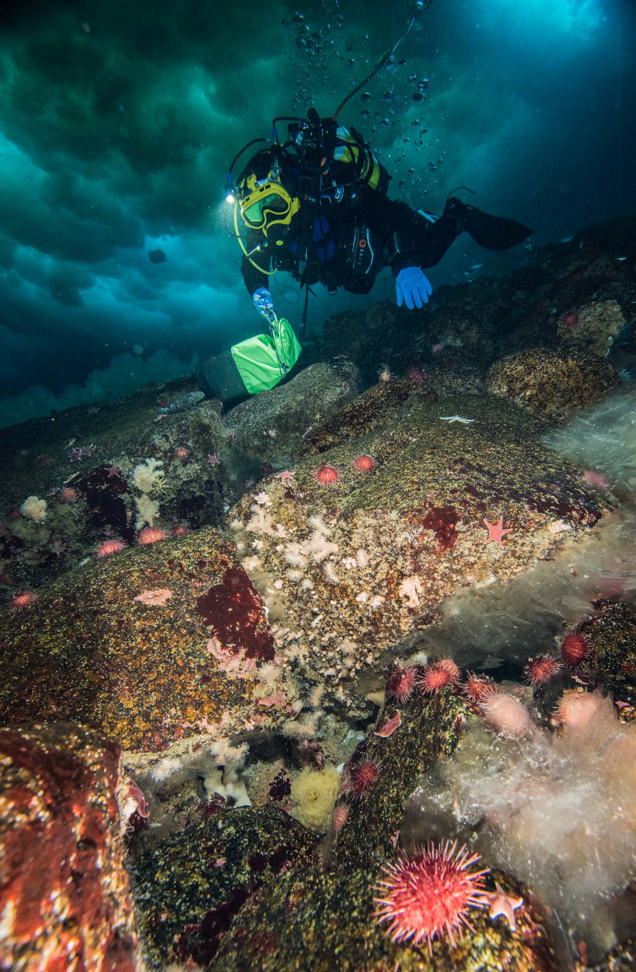 Antartide: il Comsubin a supporto della spedizione italiana 