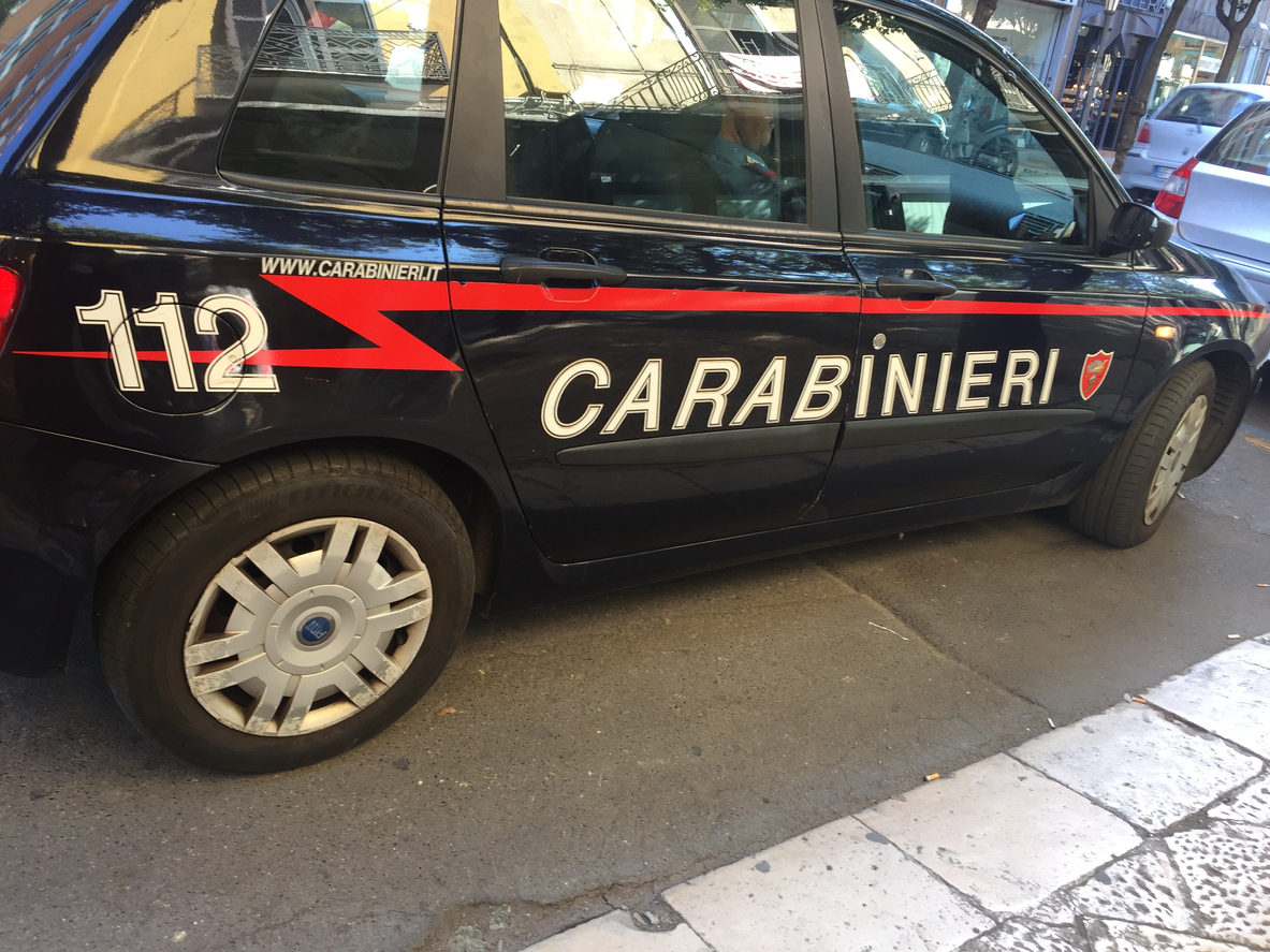 Carabinieri: il Comando Politiche Agricole e Alimentari Carabinieri: il Comando Politiche Agricole e Alimentari