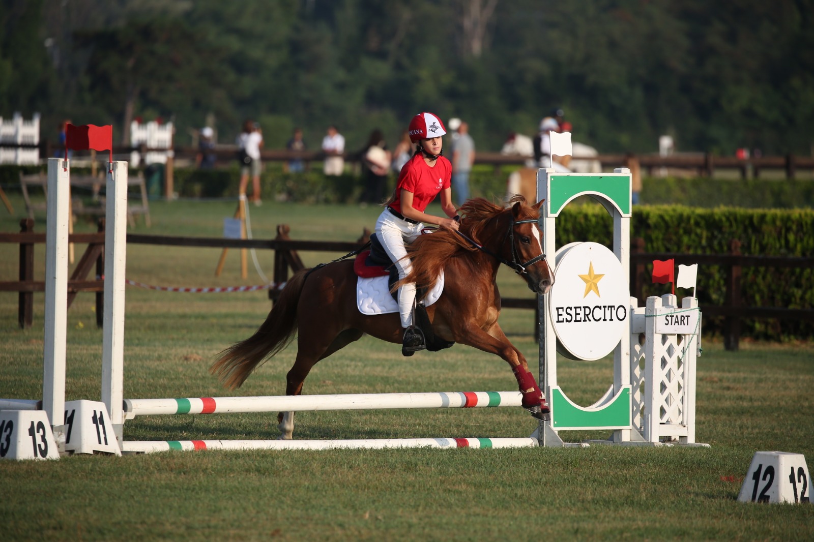 Esercito Italiano: all'Ippodromo di Tor di Quinto le “Ponyadi 2019” Esercito Italiano: all'Ippodromo di Tor di Quinto le “Ponyadi 2019”