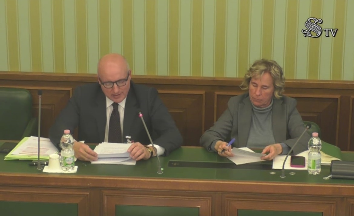 Il Segretario Generale della Difesa, Cons. Mattei, in audizione al Senato