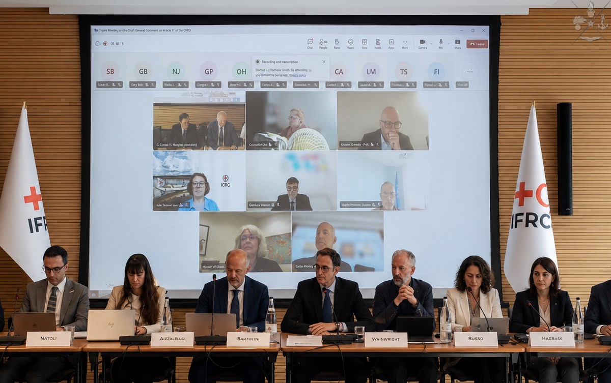 Le Linee guida dello Stato Maggiore della Difesa sulla tutela delle persone con disabilità nei conflitti armati presentate all'Expert Meeting di Ginevra 
