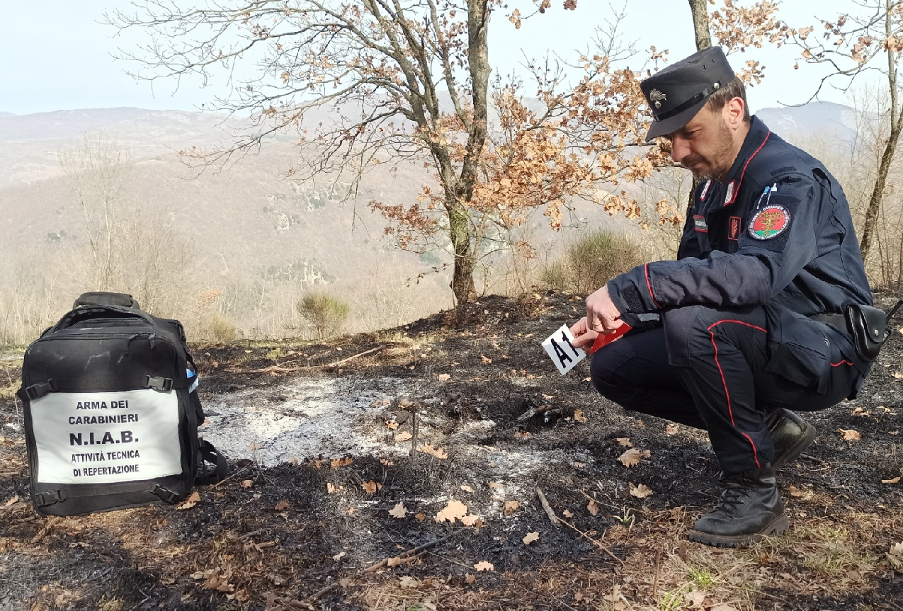 Carabinieri: il Nucleo Informativo Antincendio Boschivo