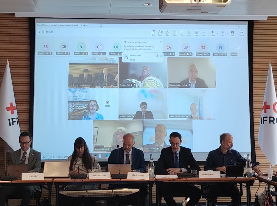 Le Linee guida dello Stato Maggiore della Difesa sulla tutela delle persone con disabilità nei conflitti armati presentate all'Expert Meeting di Ginevra
