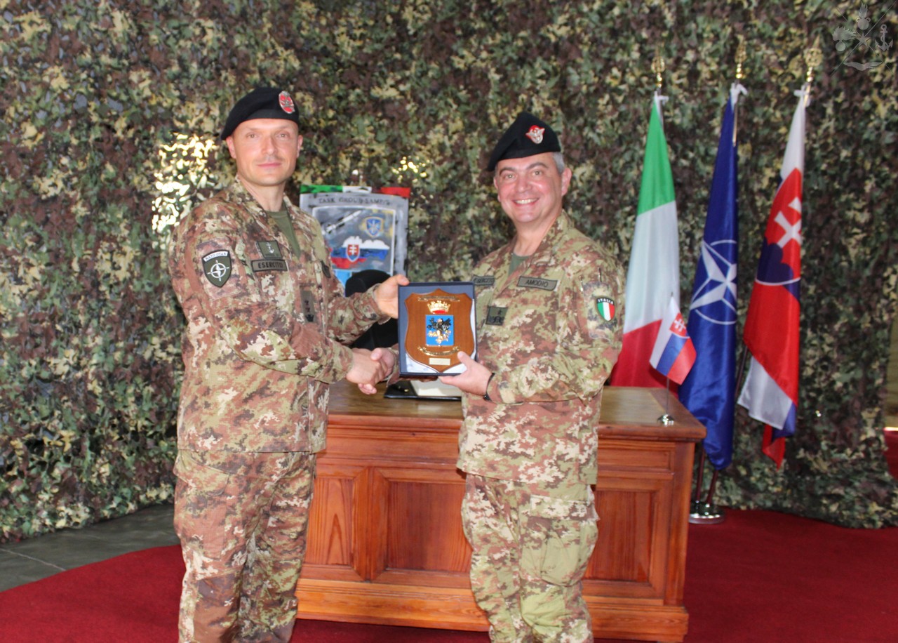Slovacchia: visita del Comandante dell'Artiglieria Controaerei
