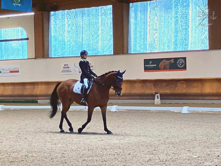 Atleta del GSPD al Concorso Internazionale di Para Dressage (foto repertorio)