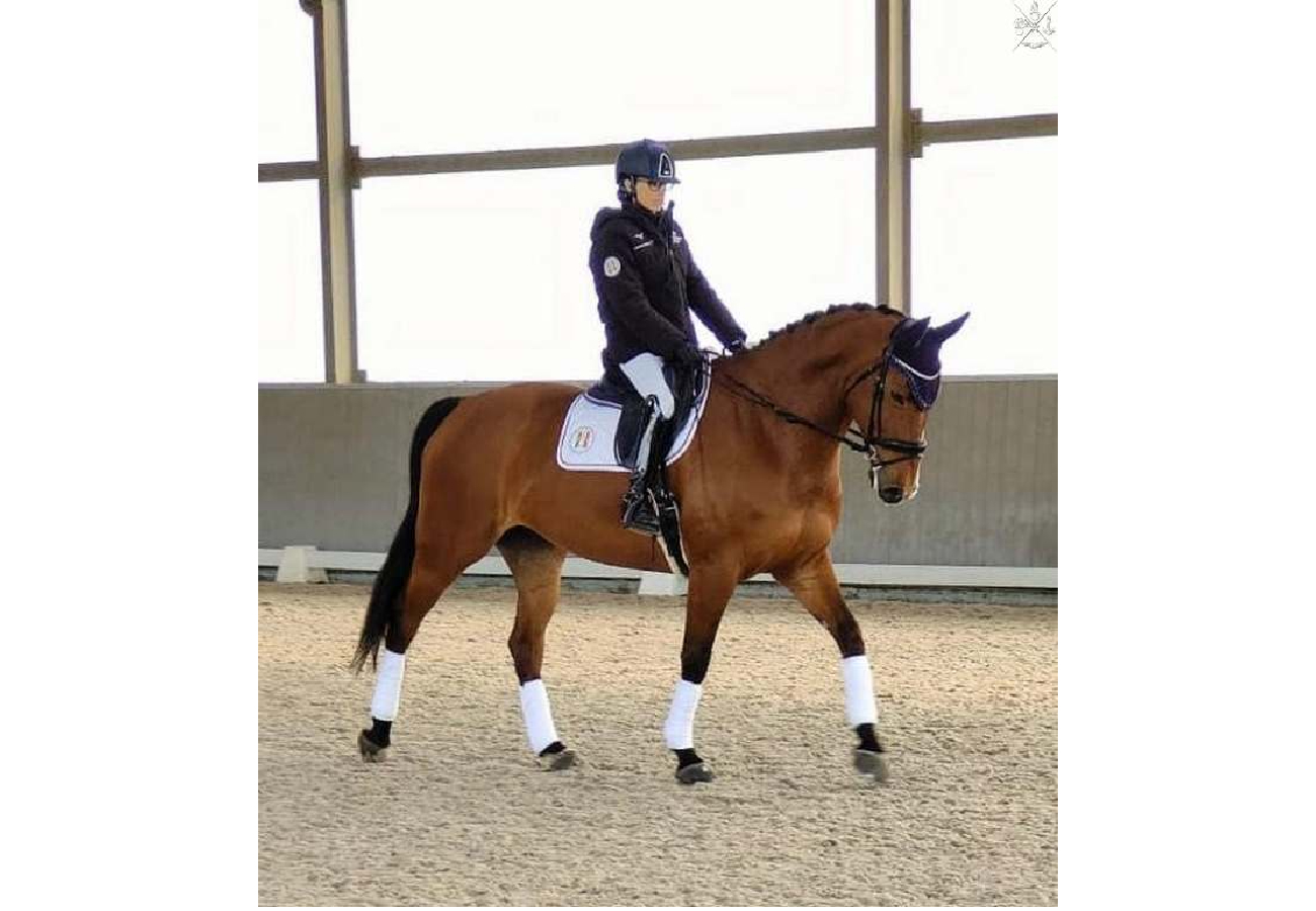 Concorso Internazionale di Equitazione Paradressage CPEDI3