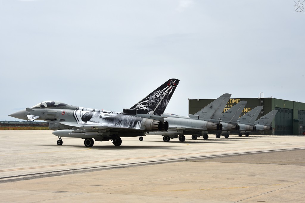 Esercitazione “NATO Tiger Meet”
