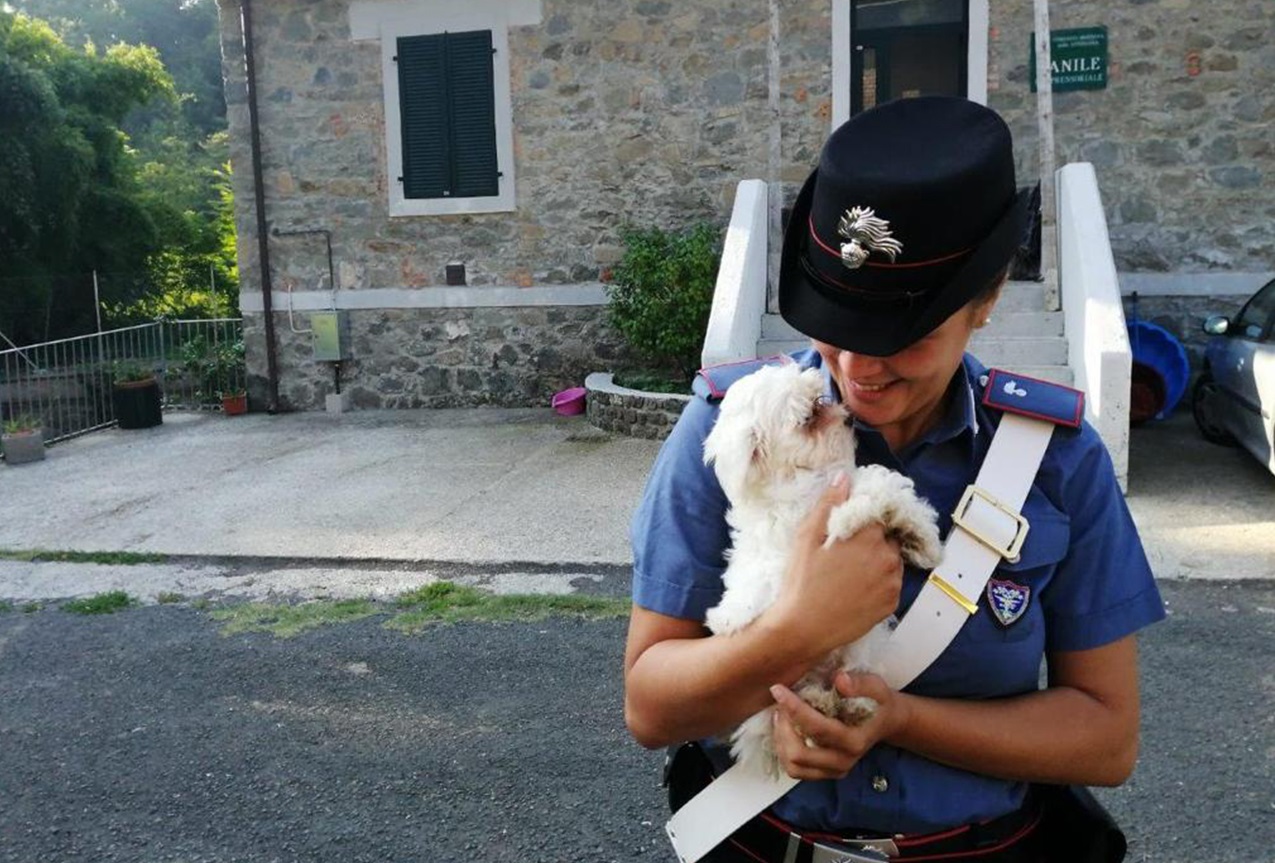Giornata Mondiale contro la crudeltà verso gli animali Giornata Mondiale contro la crudeltà verso gli animali