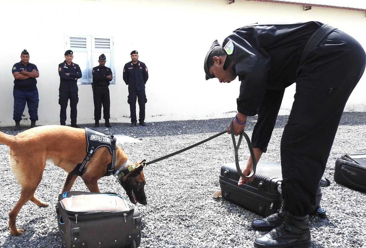 Gibuti: Carabinieri addestrano le unità cinofile della Gendarmeria locale